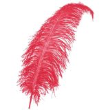 Veer Rood (50 cm)