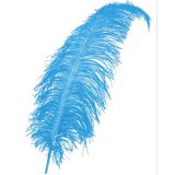 Veer Turquoise (50 cm)
